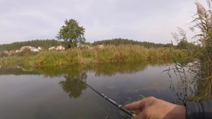 Как ловить щуку на мелководье. Переселение щук.