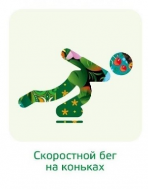 ОЛИМПИАДА. ЗИМНИЕ ВИДЫ СПОРТА. КОНЬКОБЕЖНЫЙ СПОРТ.