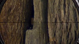 не бюджетная пневматика эдган леший 2 5.5. EDGUN LESHY 2