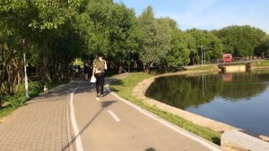 Река Битца и Большой Качаловский пруд