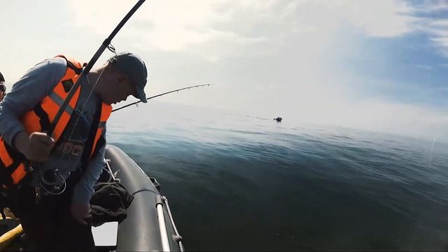 Рыбалка. Балтийское море. / Sea angling. Baltic sea. / смотреть онлайн