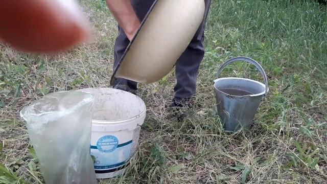 Как правильно сеять люцерну вручную