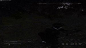 TryToFriend - FORTUNA 812  |  Paradise Tage #dayz #fragmovie #paradisepd