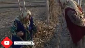 Otajon pot-pot va kampirlar Suv ustida urish chiqdi.mp4