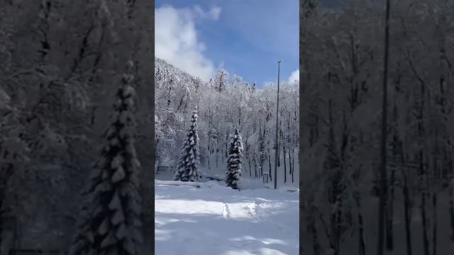 Экскурсия на озеро Рица в Абхазию зимой 2019