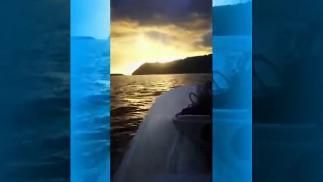 The Boat Ride | Dolphin Quest смотреть онлайн