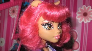 ДЕВЧОНКИ - ОНИ ТАКИЕ ! Стоп моушен Монстер Хай ! Доза Счастья