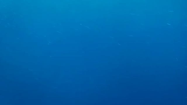 Мы плыли на коробле на море мы но 0 это же