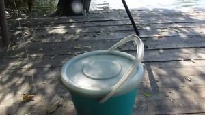 Ловля окуня на живца осенью, на поплавочную удочку