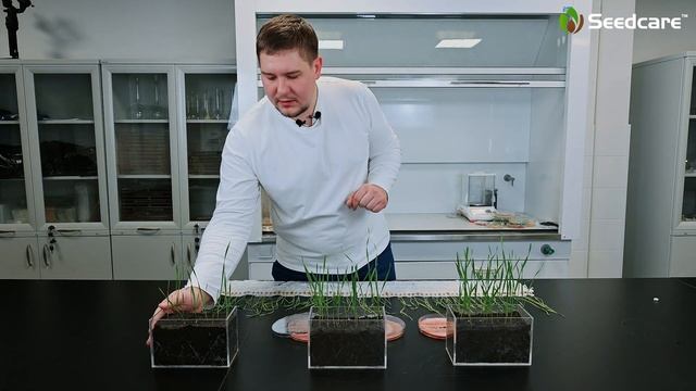 Патогены и вредители – угрозы сезона в 2023 году. Вебинар «Как посеять пшеницу качественно?»