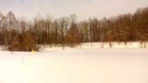 Снегоход Stels 800 росомаха по пухляку