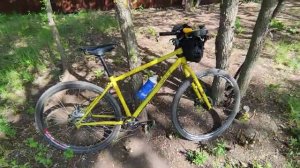 Shulz lone ranger на планетарной втулке