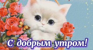 Пусть утро будет безмятежным! Очаровательным и нежным! Доброе утро!