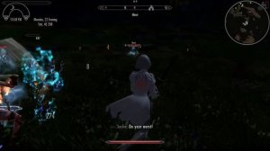 SKYRIM NIER AUTOMATA 2B TESTING