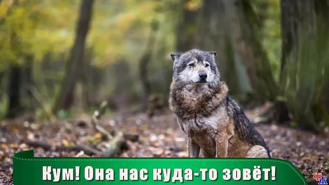 ВОЛЧИЦА вышла к людям за помощью – она умоляла спасти ее волчонка