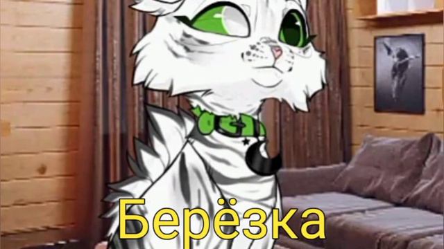 слышу голоса своих котов-воителей из сериала смотреть онлайн