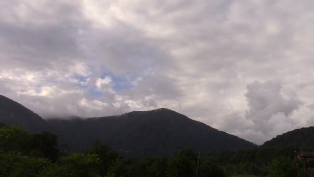 2017_06_20_ПОСЛЕ ДОЖДЯ_ПЛАСТУНКА_СОЧИ.mp4 смотреть онлайн