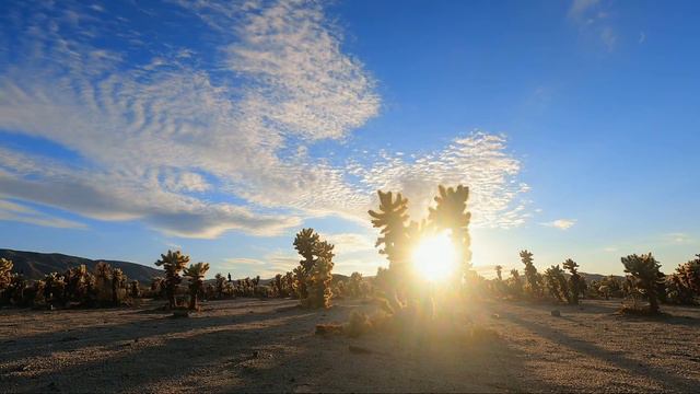 ПЯТЬ ЗАКОНОВ БОГАТСТВА По мотивам книги Самый богатый человек в Вавилоне смотреть онлайн