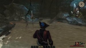 Risen 2: Dark Waters. Крыло попугая (Коллекция). Прохождение от SAFa