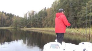 Любимовское озеро в Ленинградской области. Ловля щуки на воблеры.