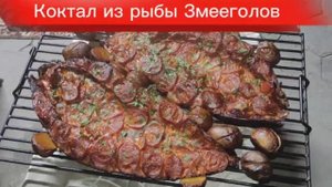 Супер вкусный Коктал из рыбы Змееголов