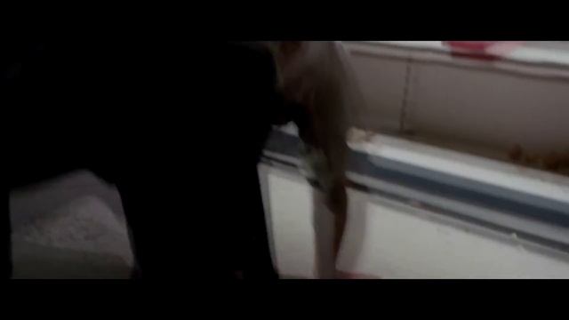 Смотреть Обязательно! №2 смотреть онлайн