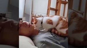 Сколько можно спасть?