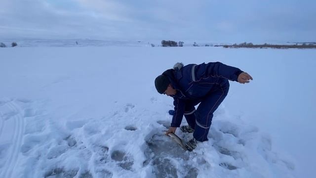 ЖЕРЛИЦЫ. Рыбалка на щуку. Отличный клев. Ломаем крючки-двойники! смотреть онлайн