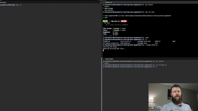 Why we need to have automation testing in our CI pipeline смотреть онлайн