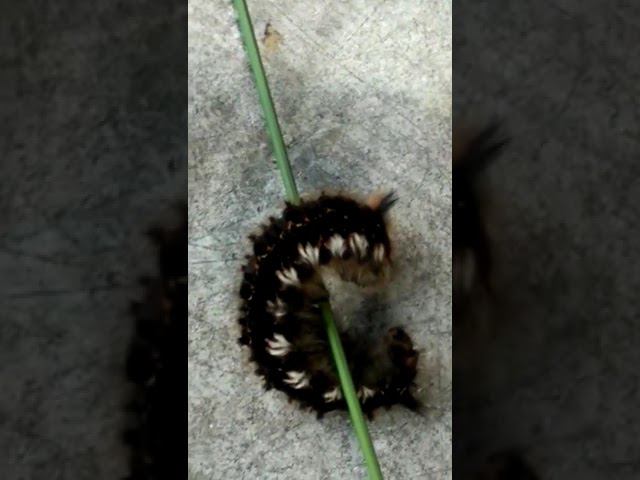 9 июня 2023 г. смотреть онлайн