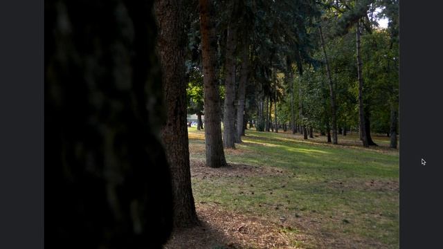 Фотоработы подписчиков ЧАСТЬ 7! Ваши фотографии на зеркалки и беззеркалки! смотреть онлайн