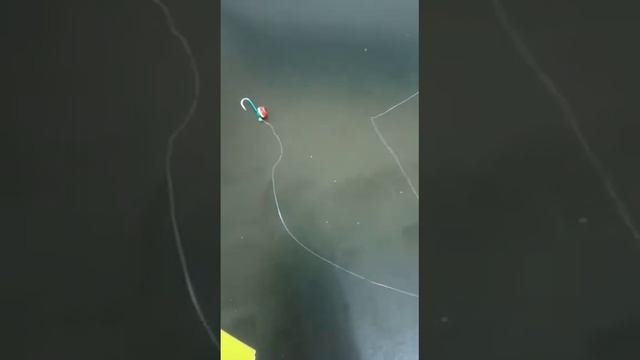 мормышка с крючком, на съёмном поводке смотреть онлайн