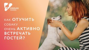 Как отучить собаку очень активно встречать гостей?