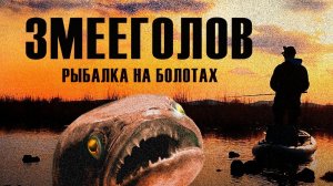 Рыбалка на БОЛОТЕ! Змееголов АТАКУЕТ!