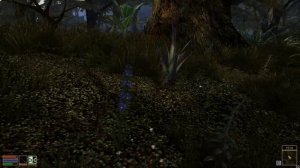 Morrowind(fullrest repack 3.0) - неспешное прохождение #1