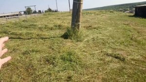 Пришла жара в Коми. Будни Олега.