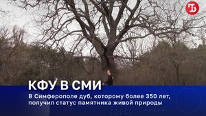 В Симферополе дуб, которому более 350 лет, получил статус памятника живой природ.mp4