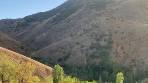 Hayde | Kazım Koyuncu