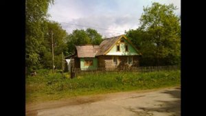 деревня Горки Солецкий район Новгородская область