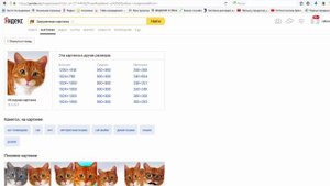 Как найти картинку нужного размера в Яндексе. #Yandex - как работает поиск по картинке.