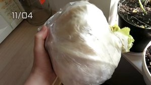 Лучший способ хранения капусты! Сама проверила!
