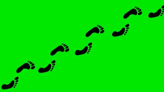 След от обуви. Пулевое отверстие. Отпечаток лапы кота. Следы кошачьих лап. Футаж следы.