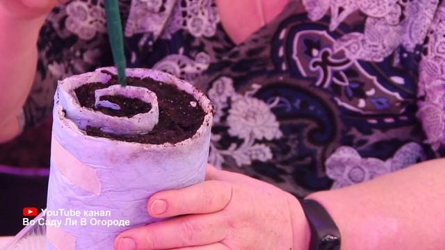 ПОСЛЕ ТАКОЙ ПИКИРОВКИ РАССАДА ТОМАТОВ КРЕПКАЯ И КОРЕНАСТАЯ ! Пикировка томатов. смотреть онлайн