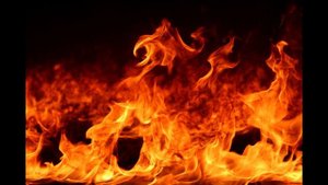 Яд из тёмной иерархии...