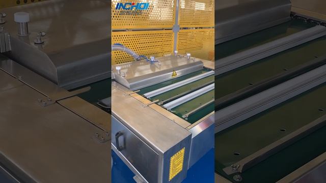 DZ-1000 continuous vacuum packaging machine