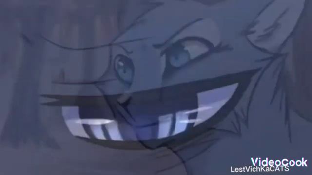 Коты воители Бич: blood water на русском смотреть онлайн