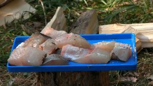 Жор щуки на Братском водохранилище в октябре. Рыбацкие хроники. Иркутск