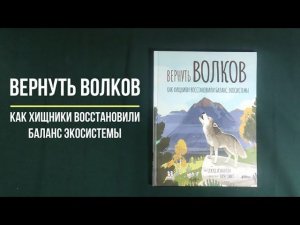 Детская  книга Вернуть волков: как хищники восстановили баланс экосистемы - Джуд Изабелла