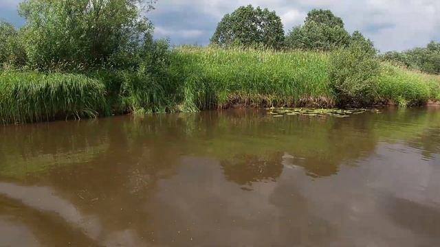 Асмр. В деревне, как купалась днем и ночью) смотреть онлайн