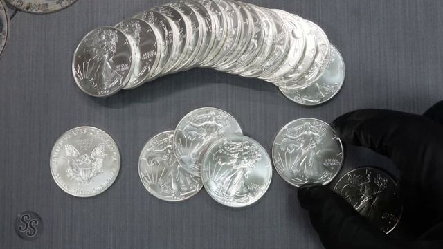 2022 Silver Eagle Security Features... MAJOR Update or Fail? смотреть онлайн